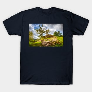 Trees On The Rocks T-Shirt